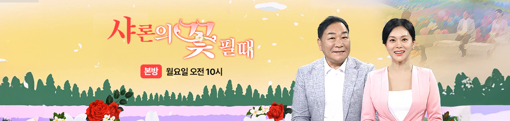 샤론의 꽃 필 때