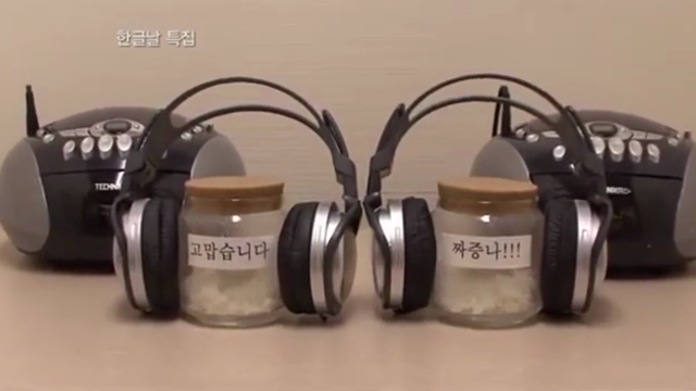 내 귀에 들린대로