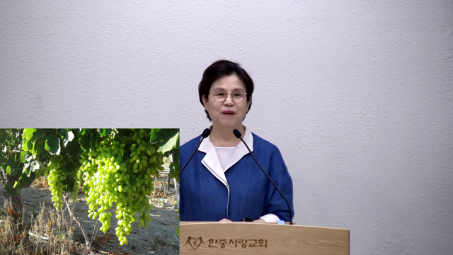 포도나무와 가지