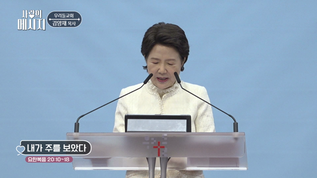 내가 주를 보았다