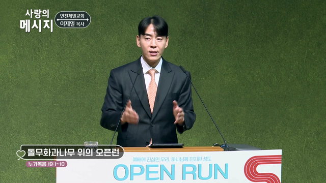 돌무화과나무 위의 오픈런