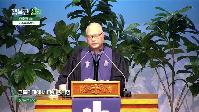 그루터기에서 피어난 희망